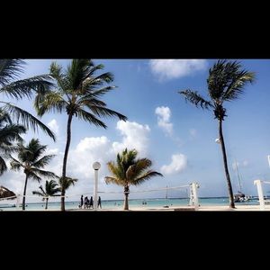 Meet your Posher, Sasha